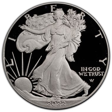 Cert 45198095 - Coin Image