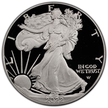 Cert 45198096 - Coin Image