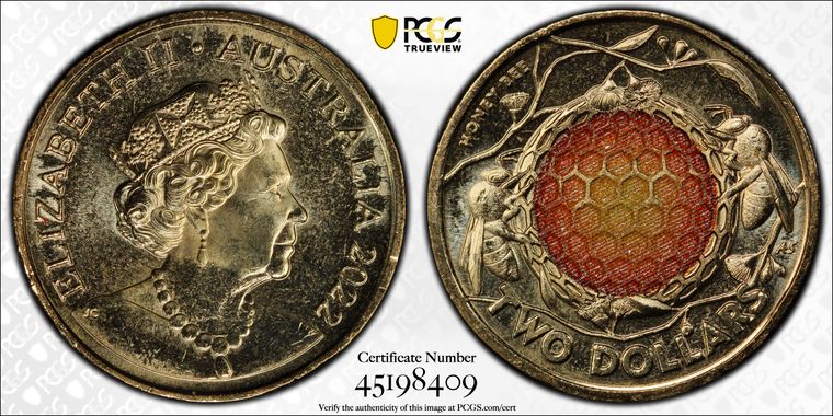 Cert 45198409 - Coin Image