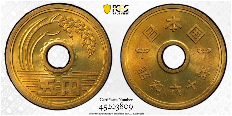 Cert 45203809 - Coin Image