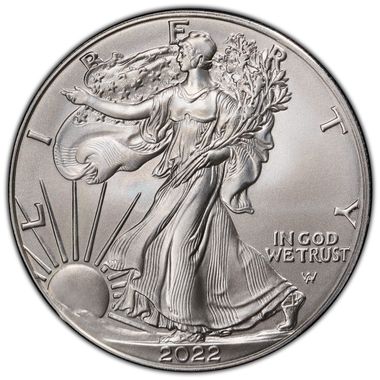 Cert 45207876 - Coin Image