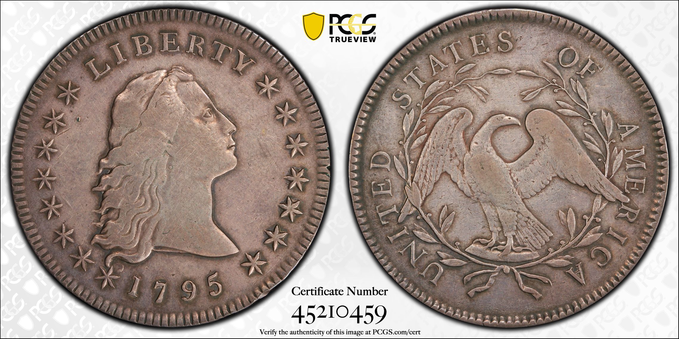 1795 P Flowing Hair, 2 Leaves Dollar