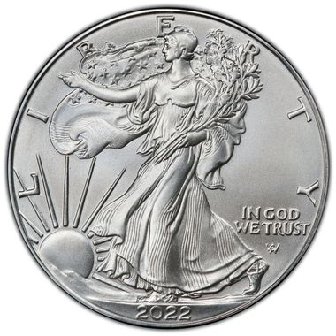 Cert 45211002 - Coin Image