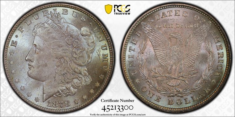 Cert 45213300 - Coin Image