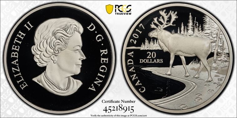 Cert 45218915 - Coin Image