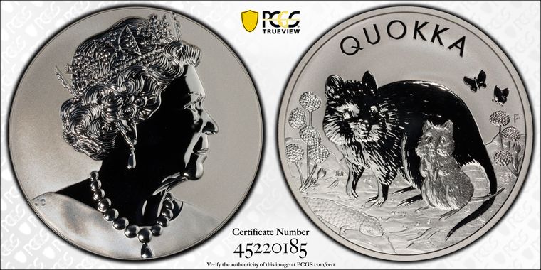 Cert 45220185 - Coin Image