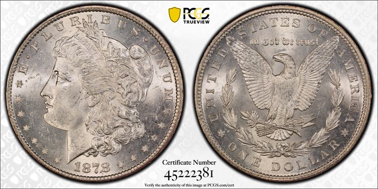 Cert 45222381 - Coin Image