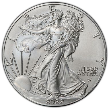 Cert 45244946 - Coin Image