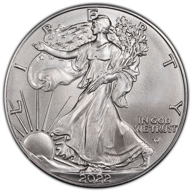 Cert 45245579 - Coin Image