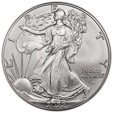 Cert 45245580 - Coin Image