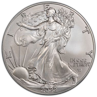 Cert 45246093 - Coin Image