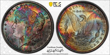 1896 $1 MS64