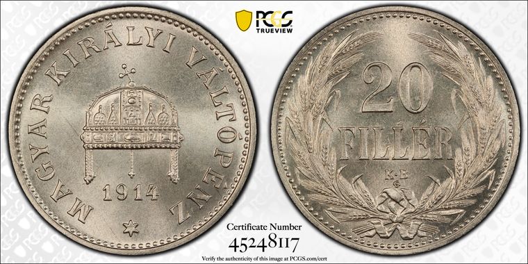 Cert 45248117 - Coin Image