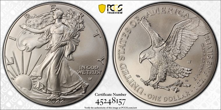 Cert 45248157 - Coin Image