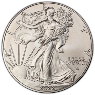 Cert 45248160 - Coin Image