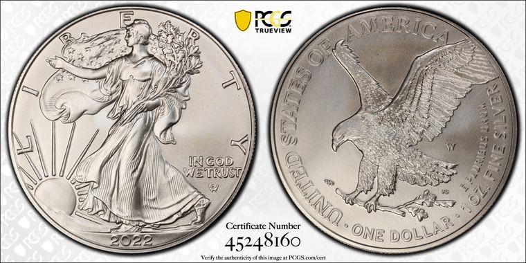 Cert 45248160 - Coin Image