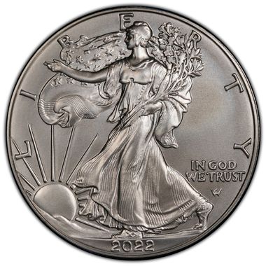 Cert 45249554 - Coin Image