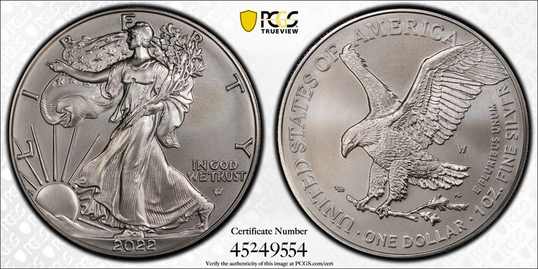 Cert 45249554 - Coin Image