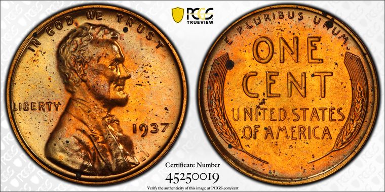 Cert 45250019 - Coin Image