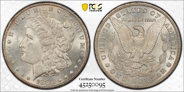1880-CC $1 8/High 7 MS64