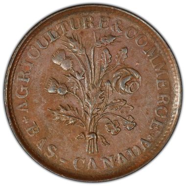 Cert 45258641 - Coin Image