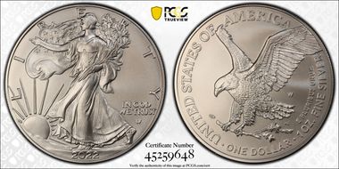 2022-W $1 Burnished Silver Eagle First Strike SP70