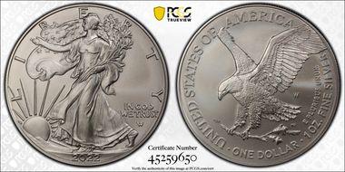 2022-W $1 Burnished Silver Eagle First Strike SP70