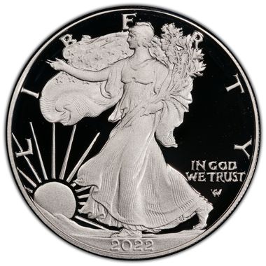 Cert 45268049 - Coin Image