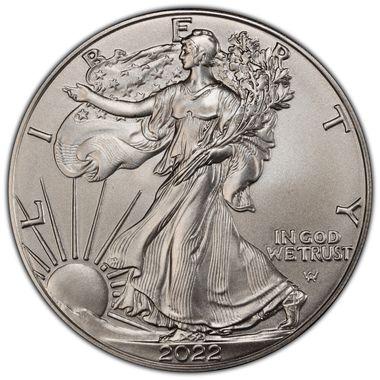 Cert 45278739 - Coin Image