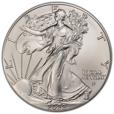 Cert 45278740 - Coin Image