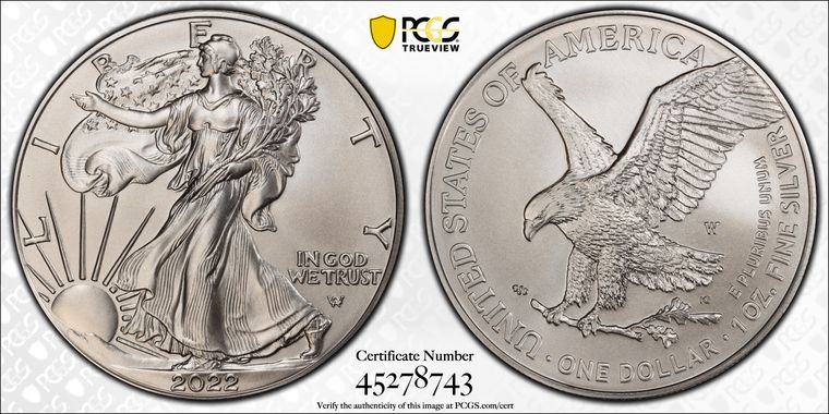 Cert 45278743 - Coin Image