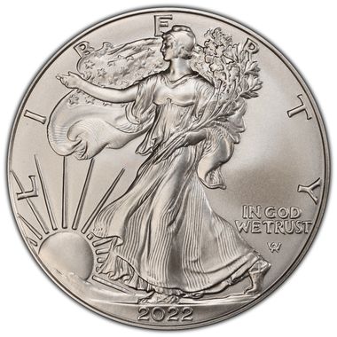 Cert 45278745 - Coin Image