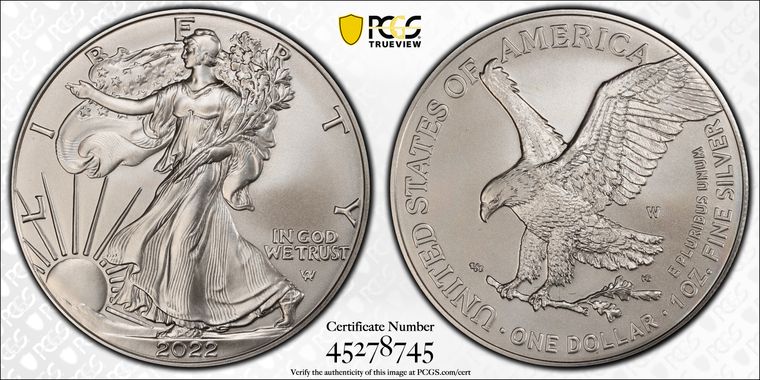 Cert 45278745 - Coin Image