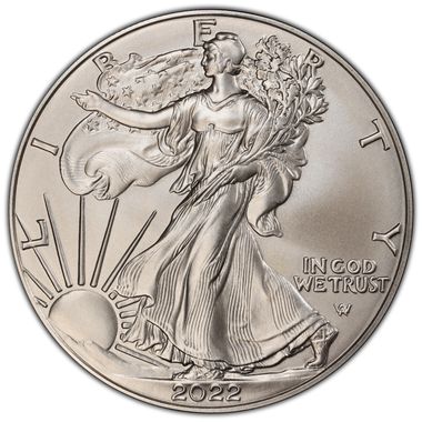 Cert 45278746 - Coin Image