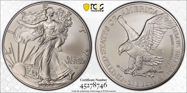 Cert 45278746 - Coin Image