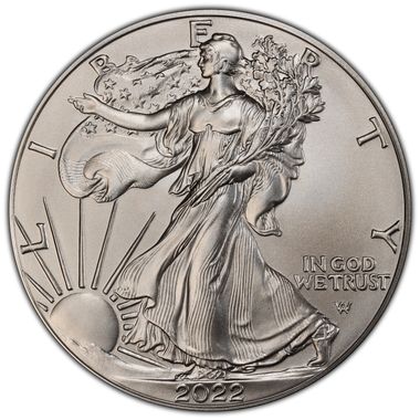 Cert 45278747 - Coin Image