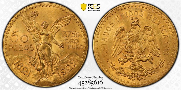 Cert 45285616 - Coin Image