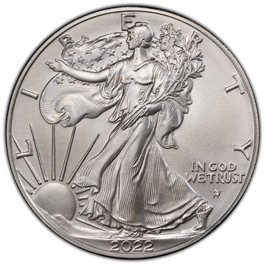 Cert 45304134 - Coin Image