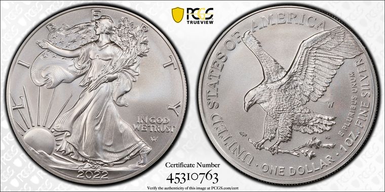 Cert 45310763 - Coin Image