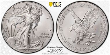 2022-W $1 Burnished Silver Eagle First Strike SP69