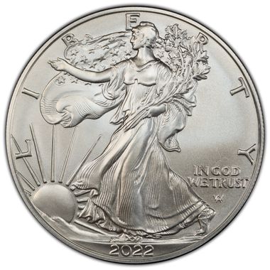 Cert 45311619 - Coin Image