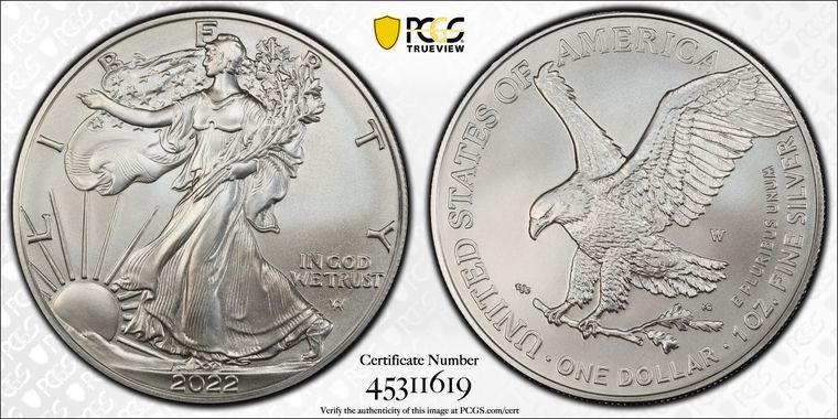 Cert 45311619 - Coin Image