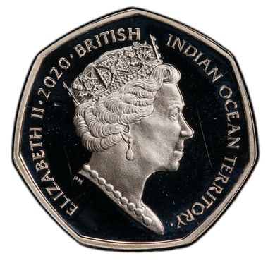 Cert 45315241 - Coin Image