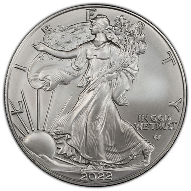 Cert 45329424 - Coin Image