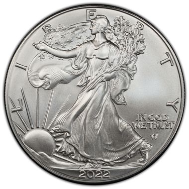 Cert 45329425 - Coin Image