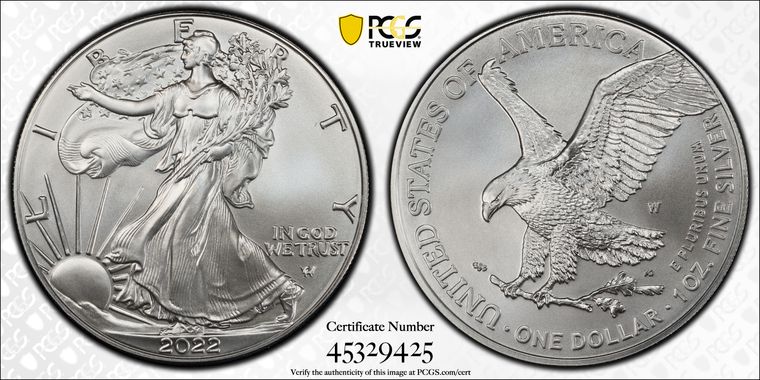 Cert 45329425 - Coin Image