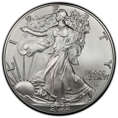 Cert 45329426 - Coin Image