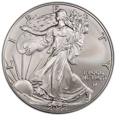 Cert 45329479 - Coin Image