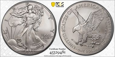 2022-W $1 Burnished Silver Eagle First Strike SP70