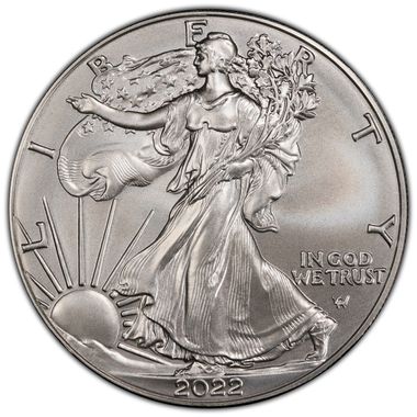 Cert 45329483 - Coin Image